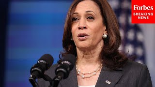 Were Her Insurrectionary Calls A Crime Kamala Harris Excoriated Over 2020 Protest Rhetoric [upl. by Suired416]