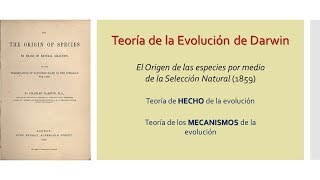 Teoría de la Evolución IV  Teoría de Darwin  BiologíaXXI [upl. by Mychal]