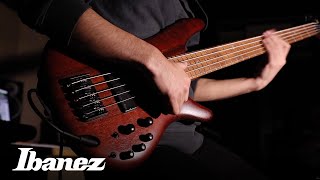 Ibanez SR500 Series Electric Bass [upl. by Baptist]