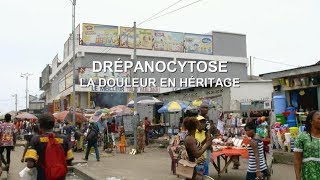 DREPANOCYTOSE  La douleur en héritage [upl. by Gora354]