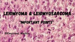 Leiomyoma and Leiomyosarcoma  Reproductive Pathology  emotionalmedico [upl. by Auhsoj]