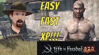 FASTEST XP with a Billet Farm Life Is Feudal MMO 02ish [upl. by Wiencke]