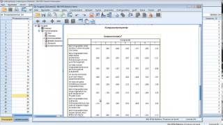 Explorative Faktorenanalyse mit SPSS [upl. by Chrissy]