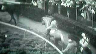 1964 Belmont Stakes FULL RACE  PREPOST RACE [upl. by Rehpinnej993]