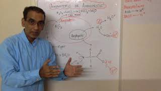 Amphiprotic vs Amphoteric IB Chemistry [upl. by Wardieu]