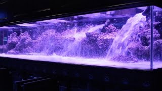 800 Aquarium pt2 Aquascape  Floating Shelf [upl. by Cornia]