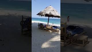 The Reef Hotel at Diani Beach Mombasa whitesand dianibeach mombasa beach [upl. by Yrmac]