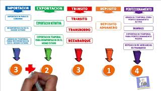 Regímenes Aduaneros [upl. by Levinson]