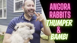 Thumper the Angora Rabbit amp girlfriend Bambi [upl. by Rosenkrantz801]