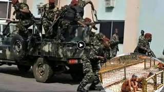 🇬🇳Conakry foniké mengué localiser au haut commandement de la gendarmerie grave révélation [upl. by Lalise]