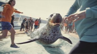 Leopard Seal Brutally Attacks Family on Cruise Holiday [upl. by Cleo886]