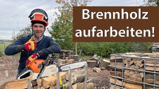 Brennholz mit Sägebock Holzmichel aufarbeiten  einfach schnell und kompakt mit Stihl MS 441 [upl. by Jolenta824]