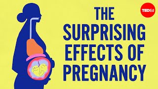 The surprising effects of pregnancy [upl. by Retloc318]