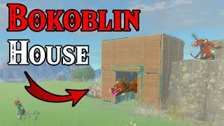 Giving a Bokoblin a House  The Legend of Zelda Tears of the Kingdom [upl. by Nawj]