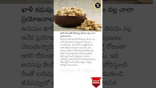 Why You Should Eat Cashews on an Empty Stomach 🌰 HealthTips CashewBenefits [upl. by Treva]