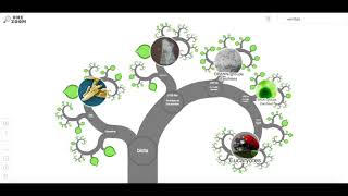 Utilisation de OneZoomorg pour explorer la biodiversité et la phylogénétique [upl. by Yznyl]