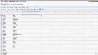 Advanced Features in Google Docs Spreadsheets [upl. by Kcirddet347]