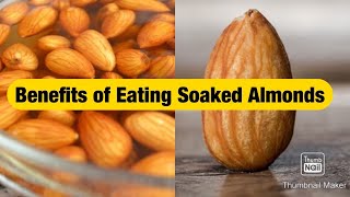 Top 10 Benefits of Eating Soaked Almond Health Benefits of Soaked Almonds  Help in weight Loss [upl. by Whitman357]