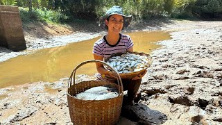 Tempo de seca fizemos a limpeza ecológica do açude e garantimos peixes para muitos dias [upl. by Namrak]