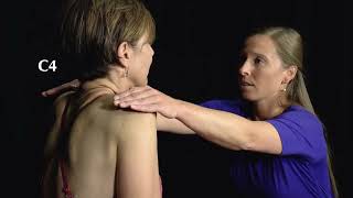 Neck Examination Cervical Spine Screen [upl. by Irakab]