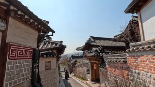 40to40 Trip  South Korea [upl. by Irme]