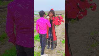 Kati Raat Maine Kheton Mein Tu Aayi Nahi 2024 Song shorts vairal trending love [upl. by Leuas]