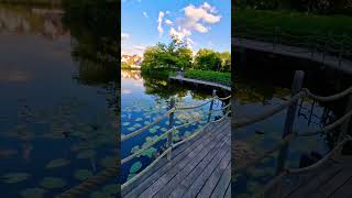 Beautiful Park in RhedaWiedenbrück beautiful park amazing view nature viral video trending [upl. by Yasdnil]