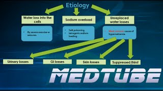 Hypernatremia Made Easy [upl. by Meedan236]