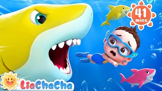 Baby Sharks in the Water  Ten Little Sharks  Number Song  Kids Songs amp Nursery Rhymes  LiaChaCha [upl. by Adnilab]