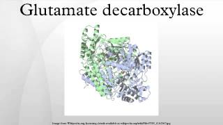 Glutamate decarboxylase [upl. by Assed408]