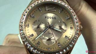 Fossil  ES2811 [upl. by Golter]