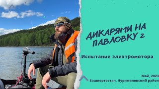 Дикарями на Павловку 2  Испытание лодочного электромотора Haswing osapian 40  Ночёвка в лесу [upl. by Ztnaj]