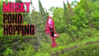 3 Musky Lakes in One Day  Northern Wisconsin Musky Fishing [upl. by Kile]