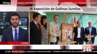 IX Exposición de Gallinas Sureñas en Álora [upl. by Neela]