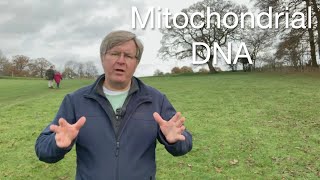 Understanding Mitochondrial DNA Structure Function and Disease [upl. by Rica]