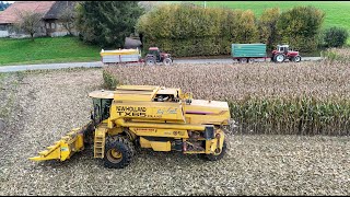 Mais 🇨🇭🌽  CCM  dreschen und Transport für Trocknungsanlage Bürli [upl. by Lotsirk]