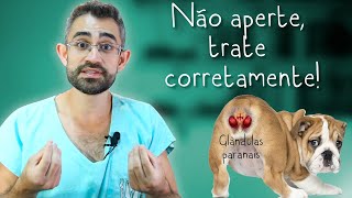 Inflamação de glândulas paranais sacos anais  Dica Veterinária 86 [upl. by Yakcm]