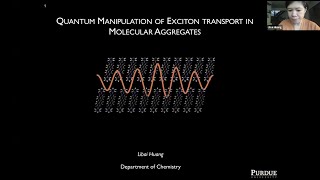 Quantum Manipulation of Exciton Transport in Molecular Aggregates  Libai Huang [upl. by Adnohrahs]