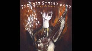 The 357 String Band  Two White Horses with lyrics [upl. by Ymiaj]