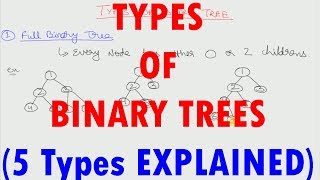 Types of Binary Tree 5 types [upl. by Debora485]