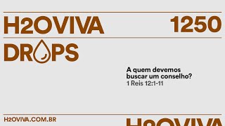 H2oviva Drops  1250  A quem devemos buscar um conselho  01052024  Pr Samuel [upl. by Keene834]