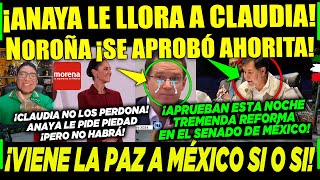 MIÉRCOLES ¡ANAYA PIDE PIEDAD A CLAUDIA NOROÑA ¡APROBADO PAZ EN MÉXICO ¡SI O SI A LA FUERZA [upl. by Anisor]