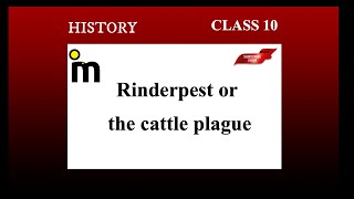 Rinderpest or the cattle plague  the making of a global world  class 10 history ncert [upl. by Blen]