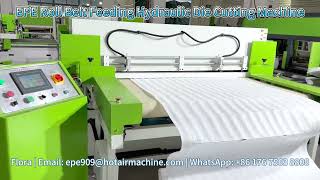 EPE Roll Belt Feeding Hydraulic Die Cutting Machine  Foam Roll Punching Machine [upl. by Leunammi]