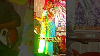 Amar Poraner Pakhi Ta Uriya Giyase 🐦 আমার পরানের পাখিটা উরিয়া গিয়াছে  shorts trending foryou [upl. by Rosse]