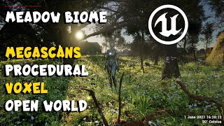 MegaScans Procedural Voxel Open World Meadow Biome Update [upl. by Herriott534]