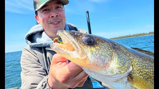 NEW Sneaky Walleye Color for Jig Fishing ft Tom Huynh [upl. by Redlac]