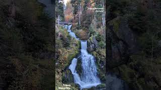 Triberg Waterfalls GermanyTriberg Wasserfälle Deutschland waterfall germany triberg [upl. by Swift771]