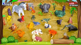 Herbivores Carnivores and Omnivores Animals for Kids Fun Learning Educational Video [upl. by Sungam324]