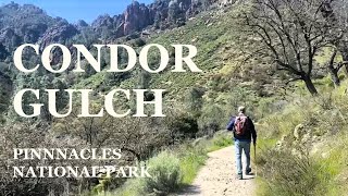 Condor Gulch in Pinnacles National Park [upl. by Aelat347]